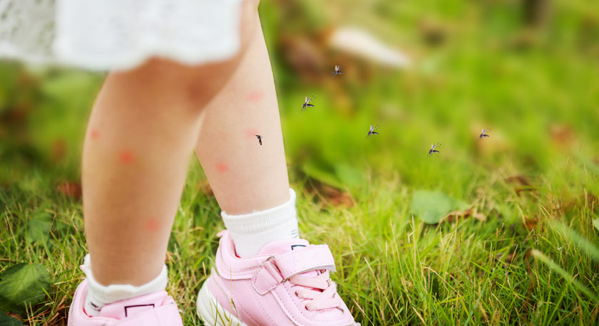 2021 Mosquito Control Services near me